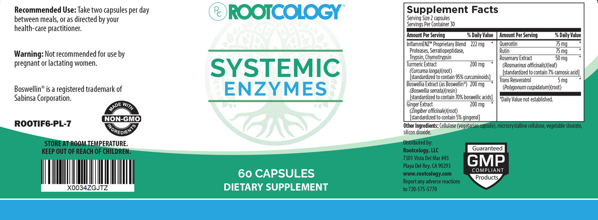 Fundamental Gut Kit